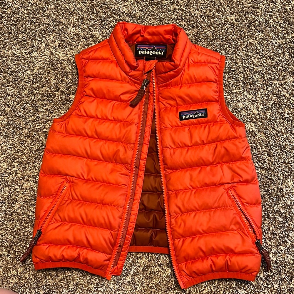 2T Patagonia down sweater vest